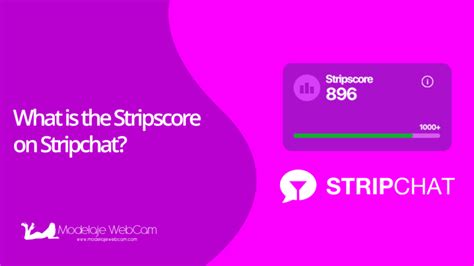 strip schat|Your StripScore and its main metrics 